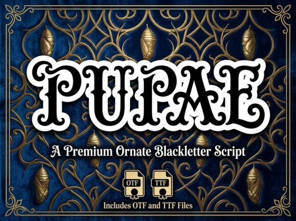 Pupae: Where Blackletter Form Meets Baroque Flourish